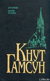 Книга Местечко Сегельфосс Местечко Сегельфосс