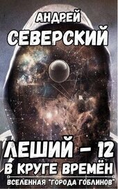 В круге времен (СИ)