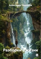 Черевков Александр Сергеевич - Разборки в жизни