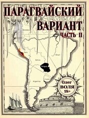 Парагвайский вариант. Часть 2 (СИ)
