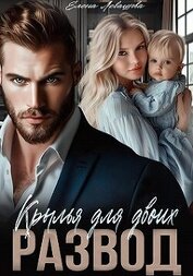 Книга Крылья для двоих. Развод (СИ) Крылья для двоих. Развод (СИ)