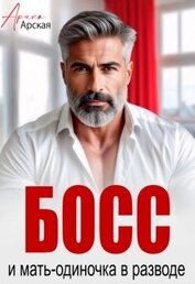 Босс и мать-одиночка в разводе (СИ)