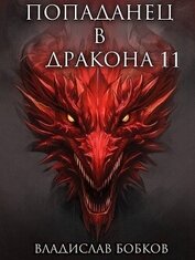 Попаданец в Дракона 11 (СИ)