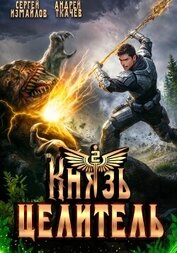 Книга Князь Целитель 2 Князь Целитель 2