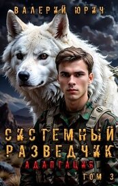 Юрич Валерий - Системный разведчик. Адаптация. Том 3 (СИ)