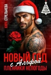 Новый год с Альфой. Пленники непогоды (СИ)