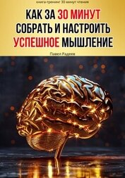Радеев Павел - Как за 30 минут собрать и настроить успешное мышление