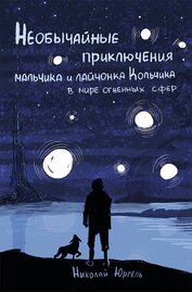 Книга Необычайные приключения мальчика и лайчонка Кольчика в мире огненных сфер Необычайные приключения мальчика и лайчонка Кольчика в мире огненных сфер