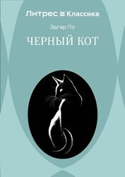 Черный кот