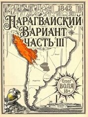 Парагвайский вариант. Часть 3 (СИ)