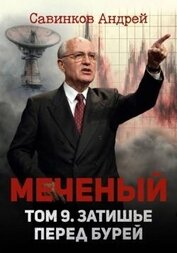 Меченый. Затишье перед бурей (СИ)