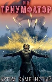 Книга Не триумфатор (СИ) Не триумфатор (СИ)