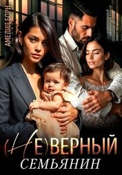 Книга (Не)верный семьянин (Не)верный семьянин