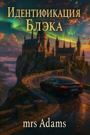 Идентификация Блэка (СИ)