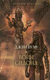 Книга Воин Сидона Воин Сидона