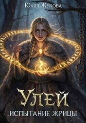 Книга Испытание жрицы (СИ) Испытание жрицы (СИ)