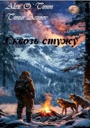 Книга Сквозь стужу (СИ) Сквозь стужу (СИ)
