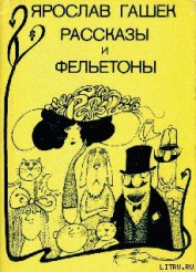 Книга Служебное рвение Штепана Бриха, сборщика пошлины на пражском мосту Служебное рвение Штепана Бриха, сборщика пошлины на пражском мосту
